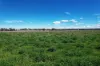 "Wendouree" 2643 Back Trundle Road, Parkes NSW 2870-Image