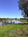 . "WILGA VALE", West Wyalong, NSW 2671-Image