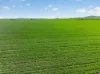 'Wilson Land' Pipeline Road, Gulnare SA 5471-Image