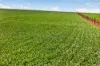'Wilson Land' Pipeline Road, Gulnare SA 5471-Image