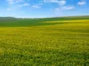 'Wilson Land' Pipeline Road, Gulnare SA 5471-Image