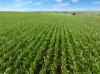 'Wilson Land' Pipeline Road, Gulnare SA 5471-Image