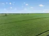 'Wilson Land' Pipeline Road, Gulnare SA 5471-Image