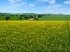 'Wilson Land' Pipeline Road, Gulnare SA 5471-Image