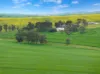 'Wilson Land' Pipeline Road, Gulnare SA 5471-Image