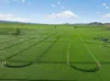 'Wilson Land' Pipeline Road, Gulnare SA 5471-Image