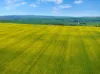 'Wilson Land' Pipeline Road, Gulnare SA 5471-Image