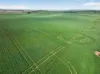 'Wilson Land' Pipeline Road, Gulnare SA 5471-Image