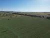 'Yarrandale' Driftway Road, Caragabal, NSW 2810-Image