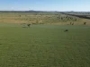 'Yarrandale' Driftway Road, Caragabal, NSW 2810-Image