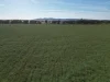 'Yarrandale' Driftway Road, Caragabal, NSW 2810-Image