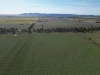 'Yarrandale' Driftway Road, Caragabal, NSW 2810-Image