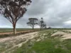 . Zis's and Garbin's, Bruce Rock, WA 6418-Image