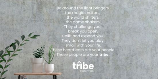 Tribe Property Co - BUNDALL - Real Estate Agency