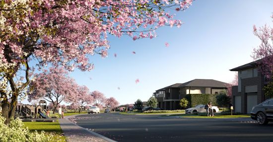 Hills of Carmel - BOX HILL - Real Estate Agency