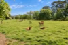 1039 Prairie-Rochester Rd,, Lockington, Vic 3563-Image
