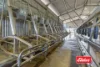 1130 Singer Road, Bamawm, Vic 3561-Image