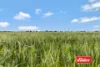 1130 Singer Road, Bamawm, Vic 3561-Image