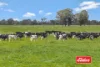 1130 Singer Road, Bamawm, Vic 3561-Image