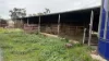 1140 Pogue Road, Tatura, Vic 3616-Image