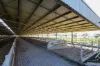 115 Church and Trotters Road, Timboon, Vic 3268-Image