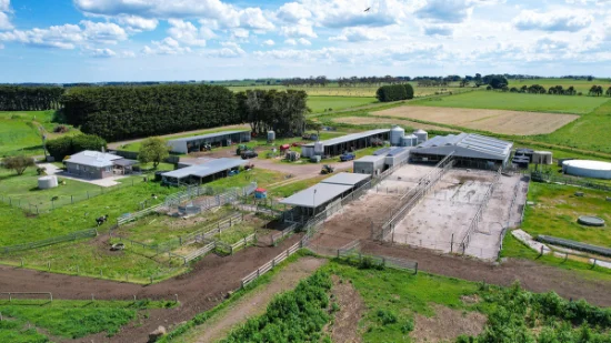 185 Greenhills Lane, Winslow, Vic 3281