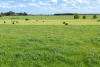 185 Greenhills Lane, Winslow, Vic 3281-Image