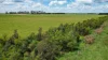 185 Greenhills Lane, Winslow, Vic 3281-Image
