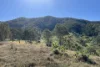 2/27 Scrubby Creek Road, Conondale, Qld 4552-Image