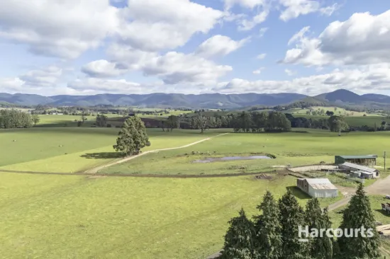 214 Mathinna Plains Road, Ringarooma, Tas 7263