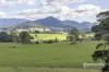 214 Mathinna Plains Road, Ringarooma, Tas 7263-Image