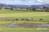 214 Mathinna Plains Road, Ringarooma, Tas 7263-Image
