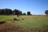 332 McColl Road, Ballendella, Vic 3561-Image