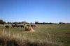 332 McColl Road, Ballendella, Vic 3561-Image