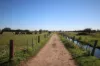 332 McColl Road, Ballendella, Vic 3561-Image