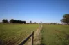 332 McColl Road, Ballendella, Vic 3561-Image