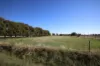 332 McColl Road, Ballendella, Vic 3561-Image