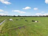 40 Tudors Lane, Denison, Vic 3858-Image