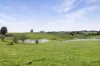 455 Buffalo North Road, Buffalo, Vic 3958-Image