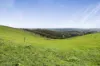 455 Buffalo North Road, Buffalo, Vic 3958-Image