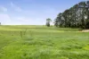 455 Buffalo North Road, Buffalo, Vic 3958-Image
