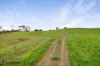 455, Buffalo VIC 3958-Image