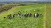 455, Buffalo VIC 3958-Image