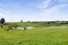 455, Buffalo VIC 3958-Image
