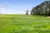 455, Buffalo VIC 3958-Image