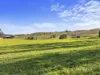 475 Limonite Road, Boolarra South, Vic 3870-Image