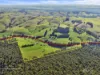 475 Limonite Road, Boolarra South, Vic 3870-Image