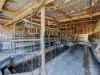 475 Limonite Road, Boolarra South, Vic 3870-Image