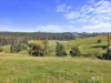 475 Limonite Road, Boolarra South, Vic 3870-Image