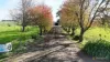 60 Tannis Road, Larpent, Vic 3249-Image